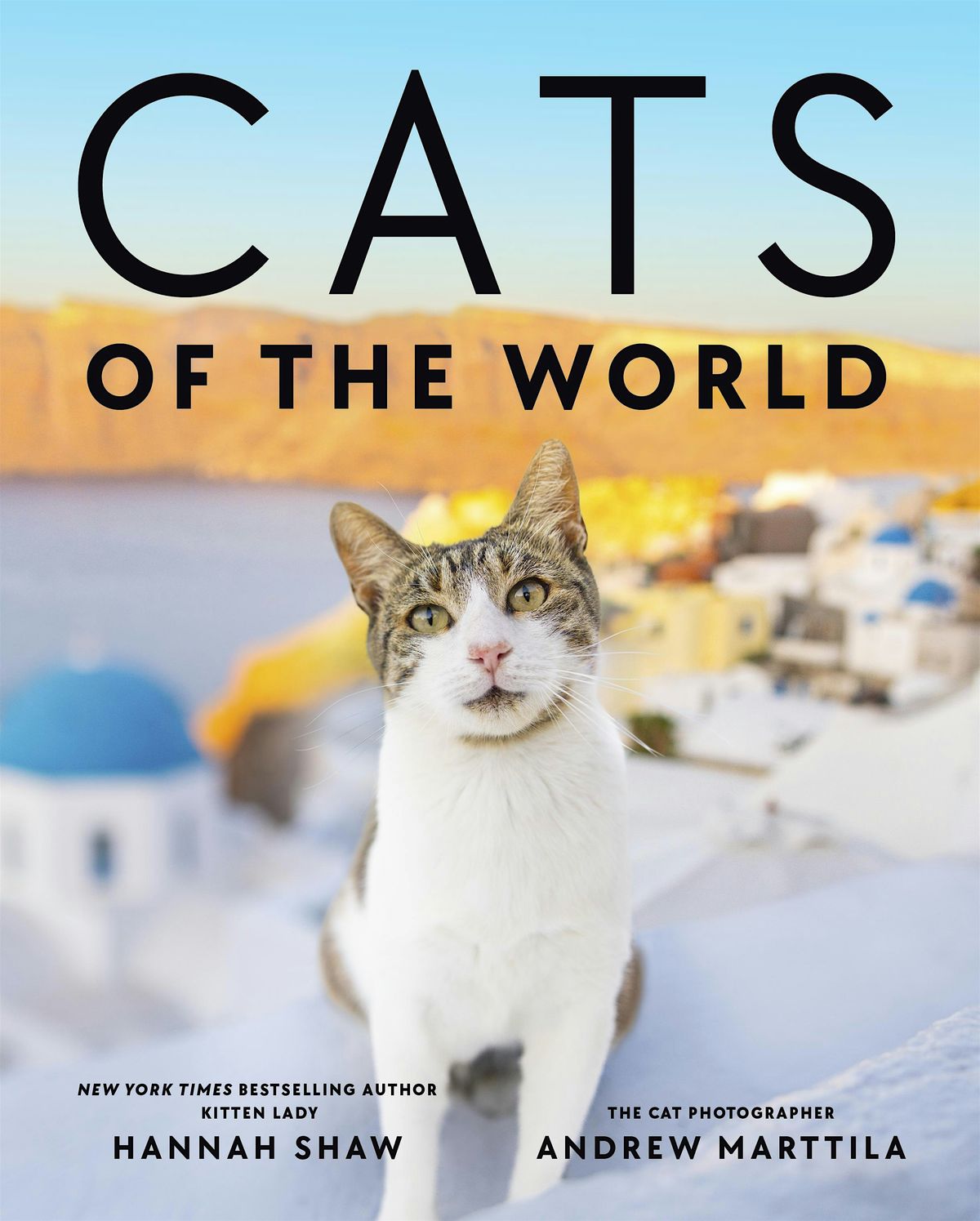 Kitten Lady Hannah Shaw and Andrew Marttila's CATS OF THE WORLD