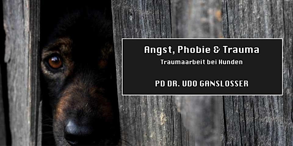 Angst, Phobie & Trauma bei Hunden (PD Dr. Udo Ganslo\u00dfer)