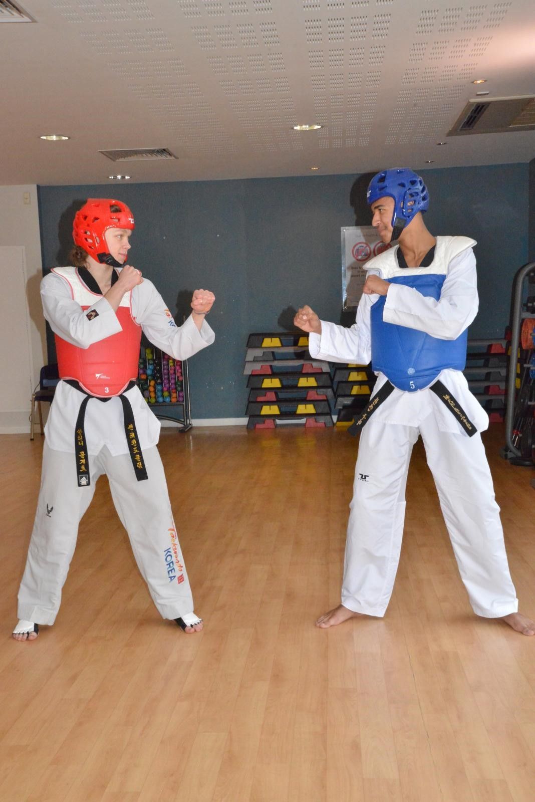 Taekwondo Class for Children 