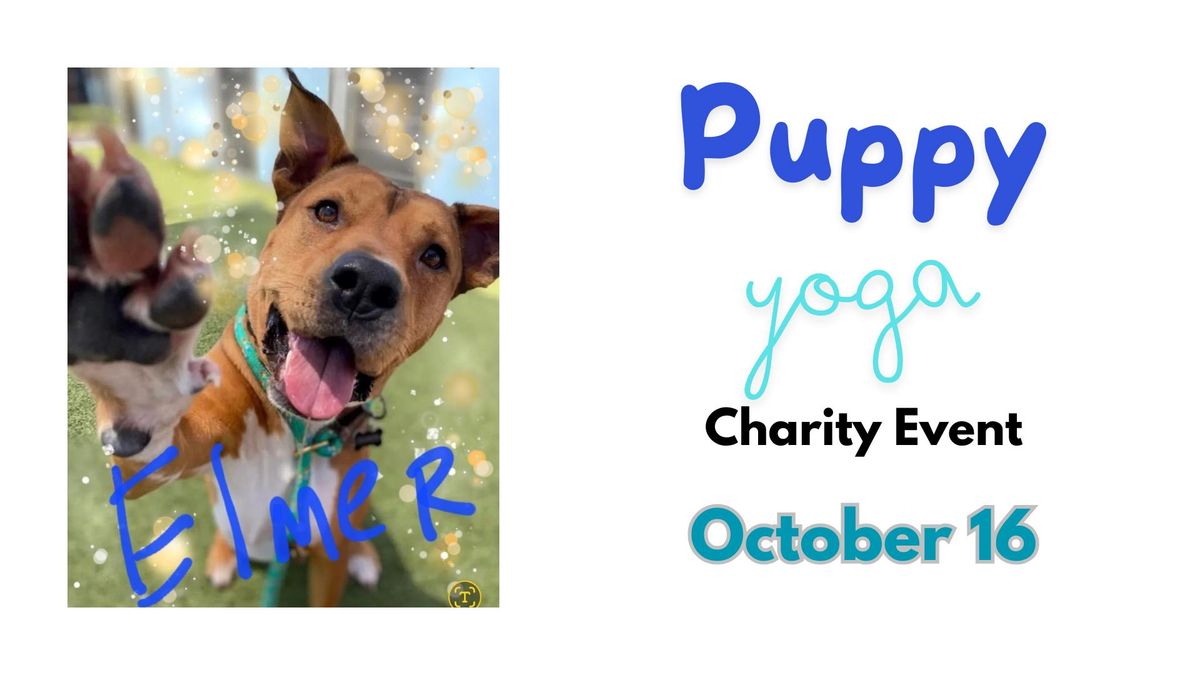 Puppy Yoga Charity Event