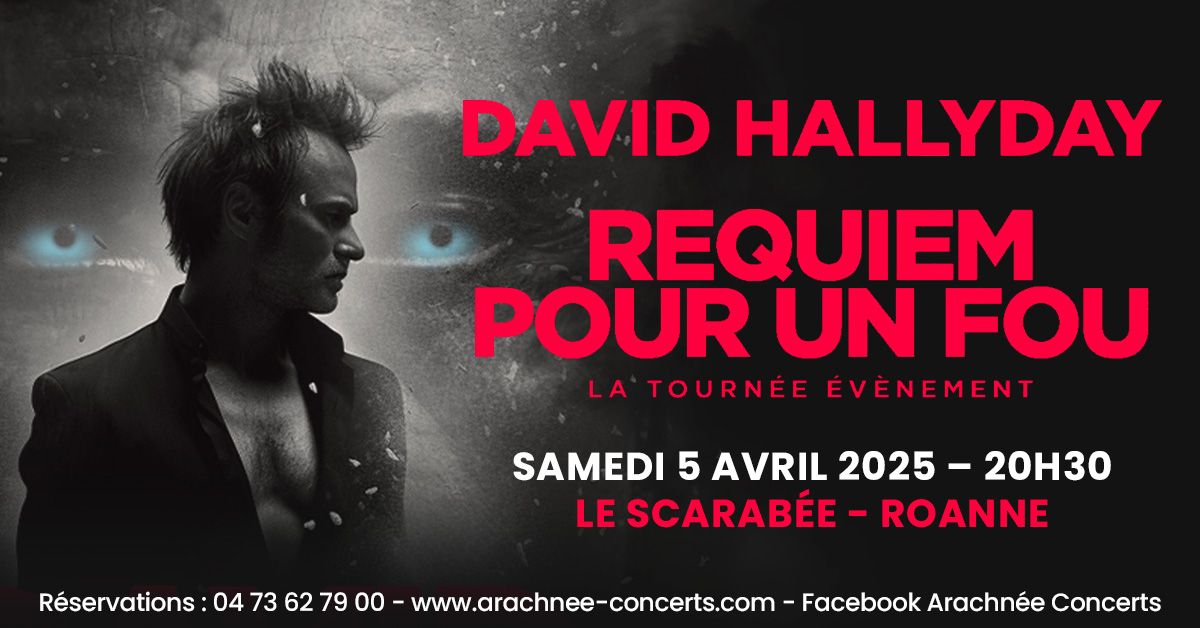 David Hallyday au Scarab\u00e9e de Roanne