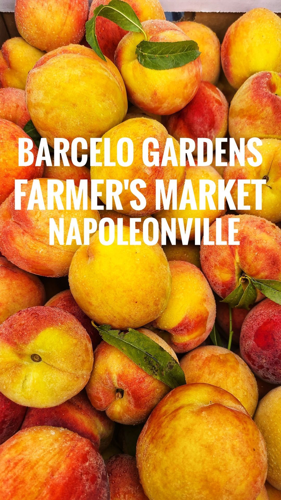 Farmer's Market in Napoleonville by Barcelo Gardens 