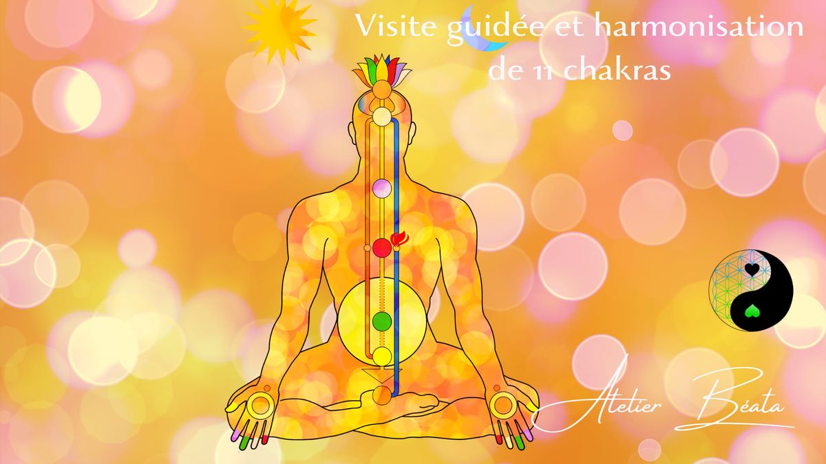 11 chakras en harmonie