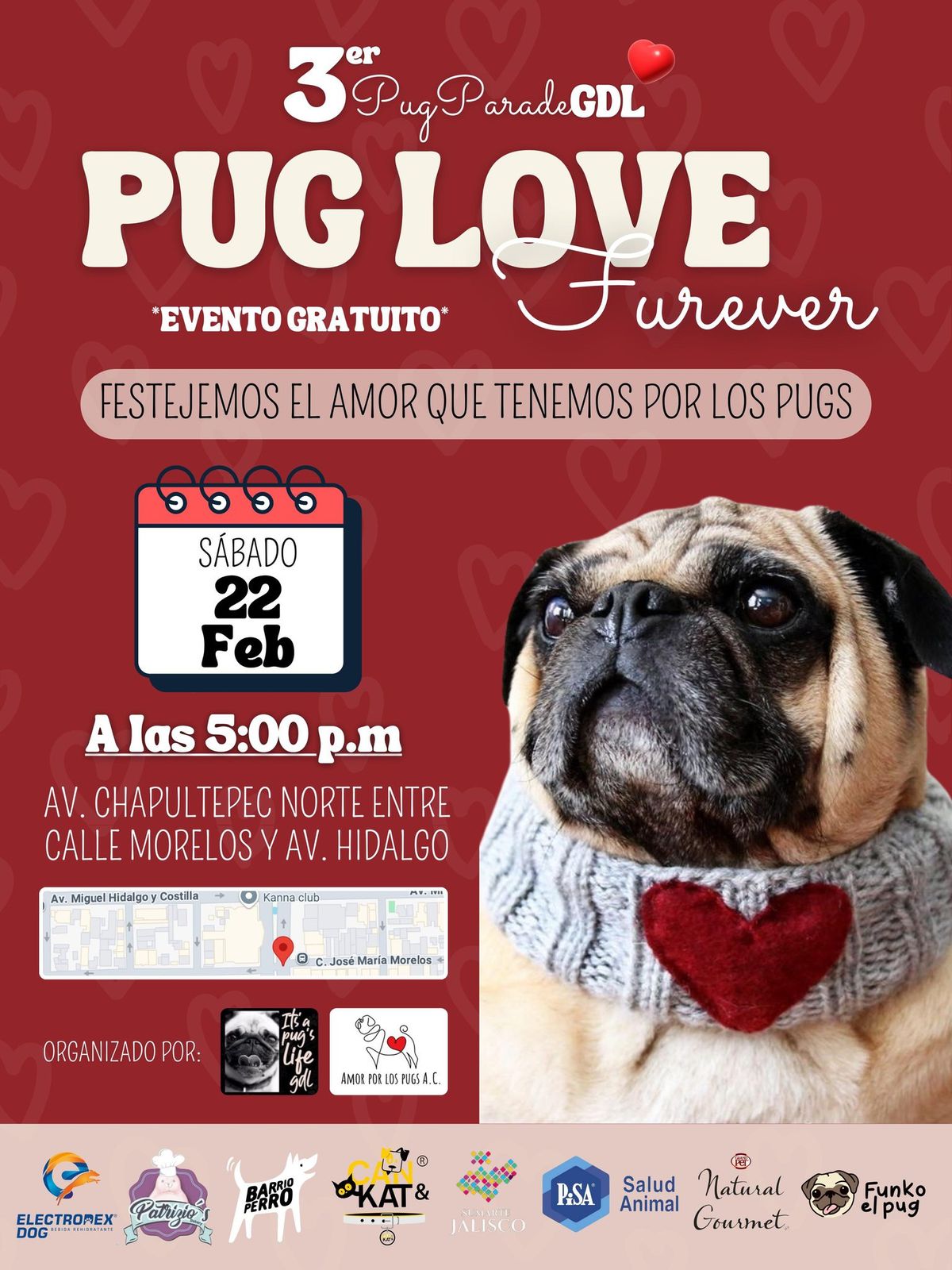 3er Pug Parade GDL