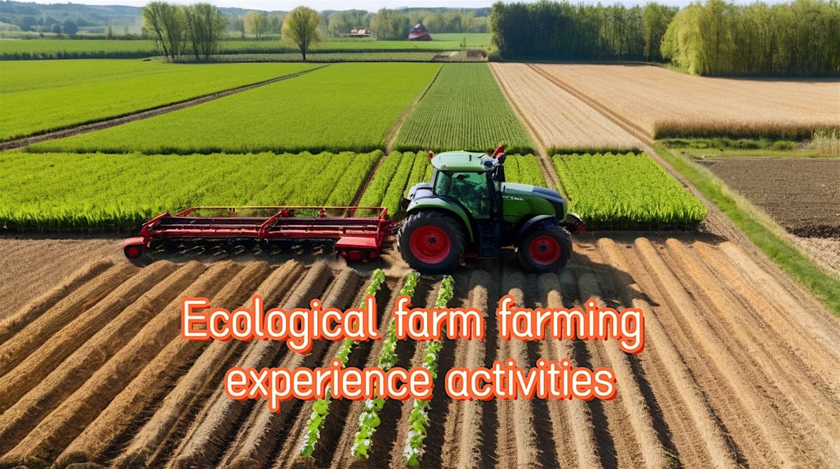 Ecological farm farming experience activities