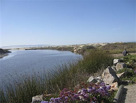 Central Coast Chapter - Paint\/Sculpt-Out at Ira Lease Park in Pismo Beach