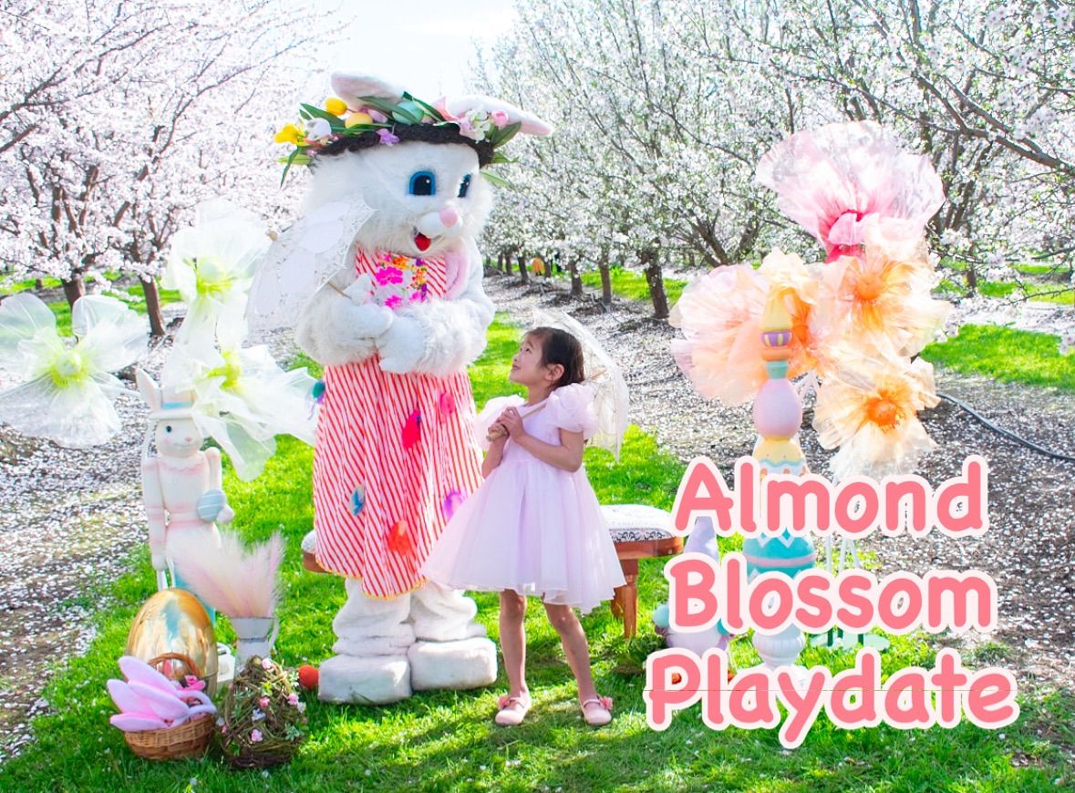 Almond Bloom Play Date