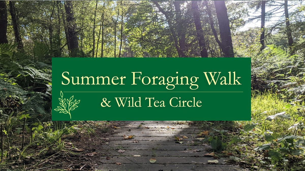 Summer Foraging Walk & Wild Tea Circle