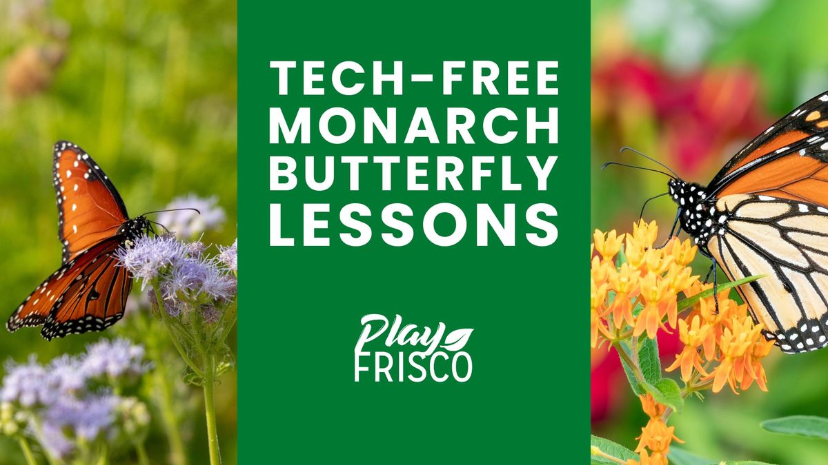 Tech-Free Monarch Butterfly Lessons