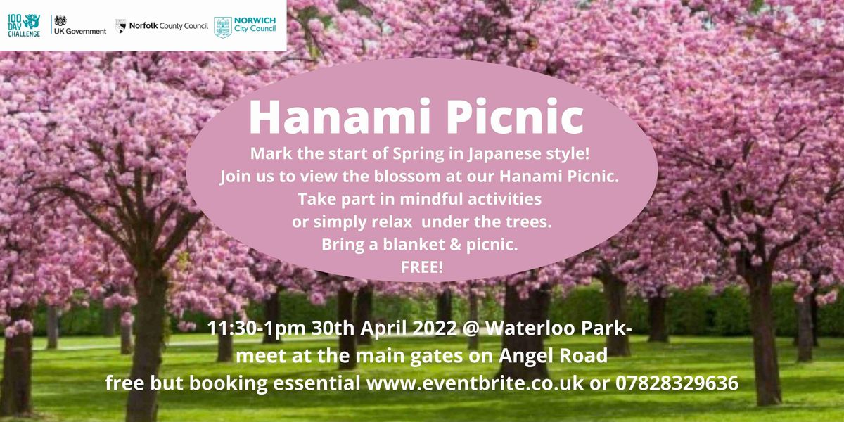 Hanami Picnic