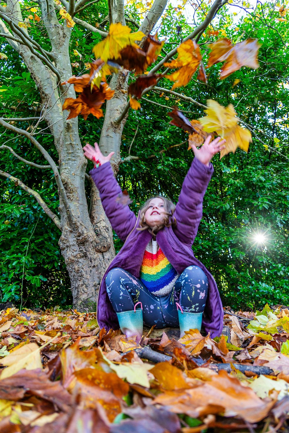 Winter Birds Nature Tots at The Wolseley Centre