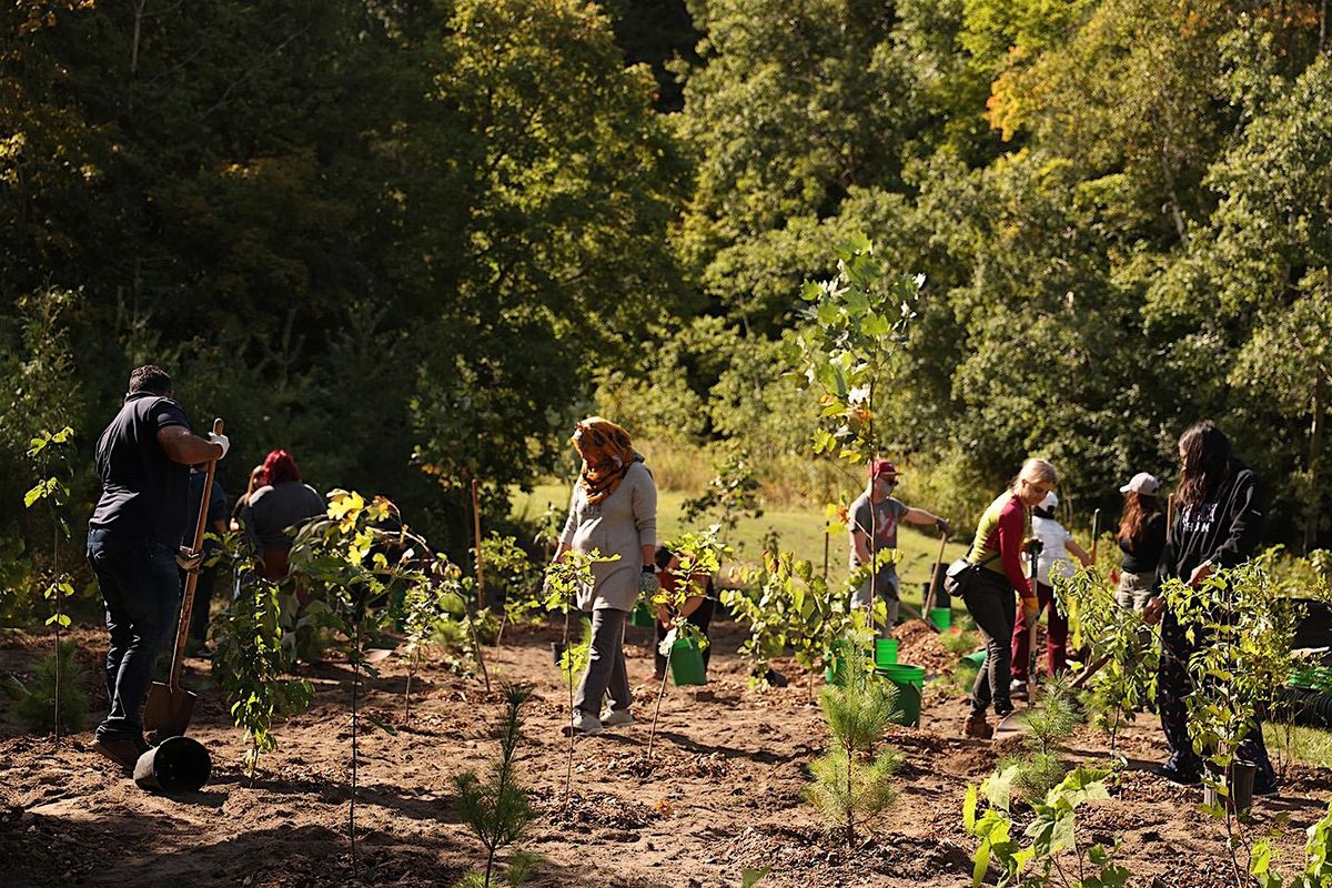 Ecological Restoration Community Planting at the University of Toronto Scarborough