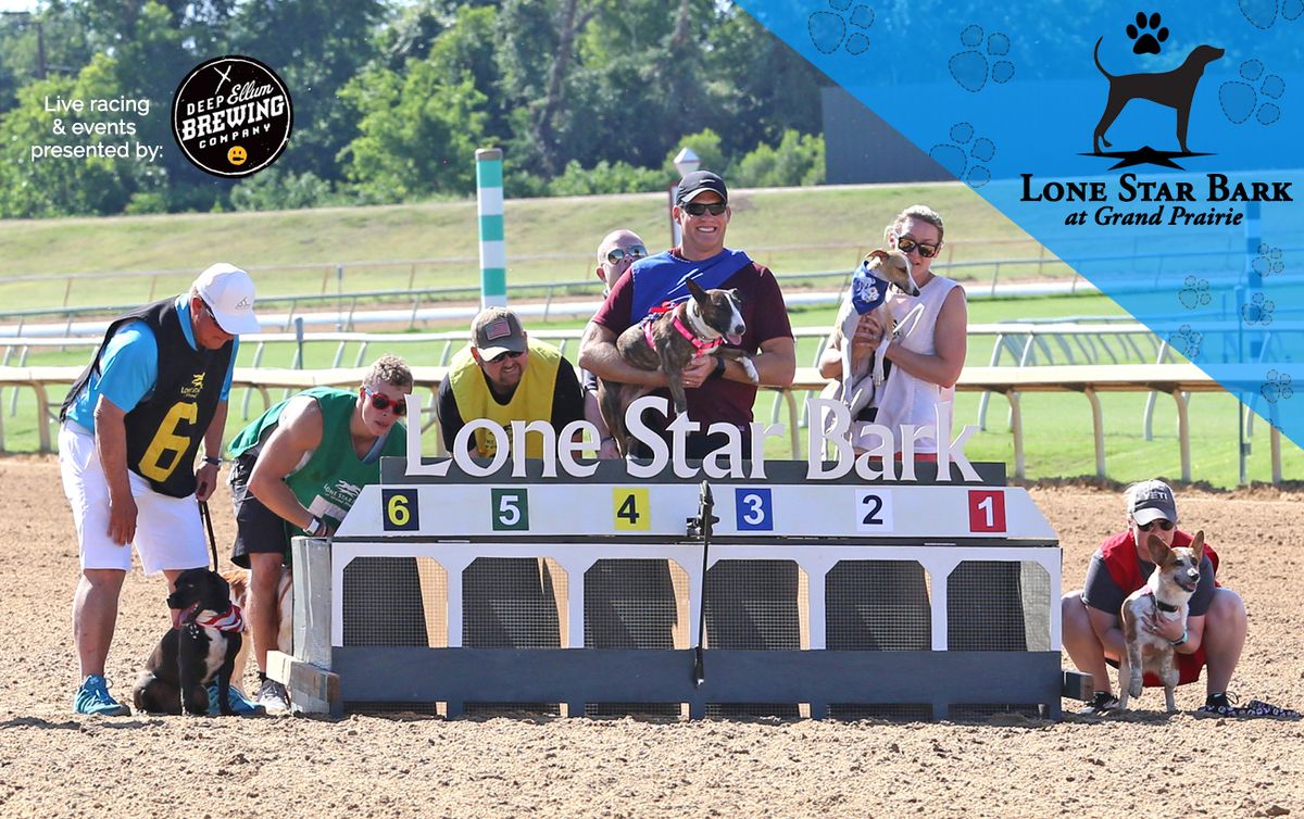 Parking Lonestar