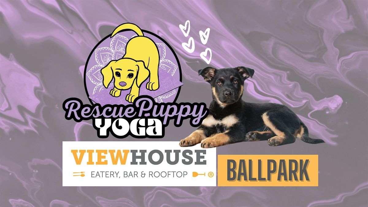 Rescue Puppy Yoga - ViewHouse Ballpark