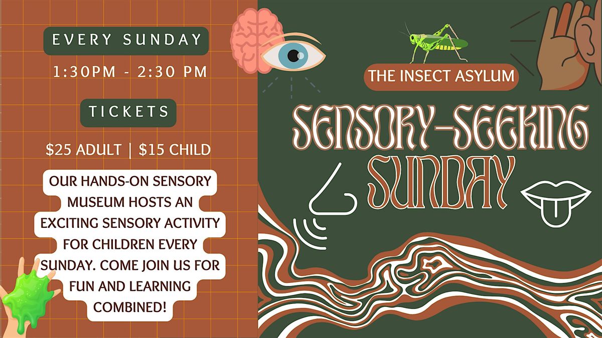 Sensory Seeking Sunday