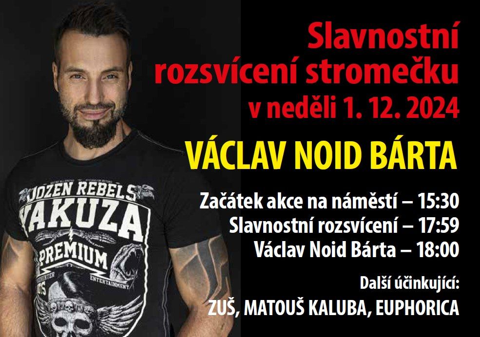 SLAVNOSTN\u00cd ROZSV\u011aCEN\u00cd V\u00c1NO\u010cN\u00cdHO STROME\u010cKU