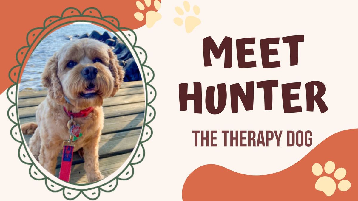 Meet Hunter the Therapy Dog!