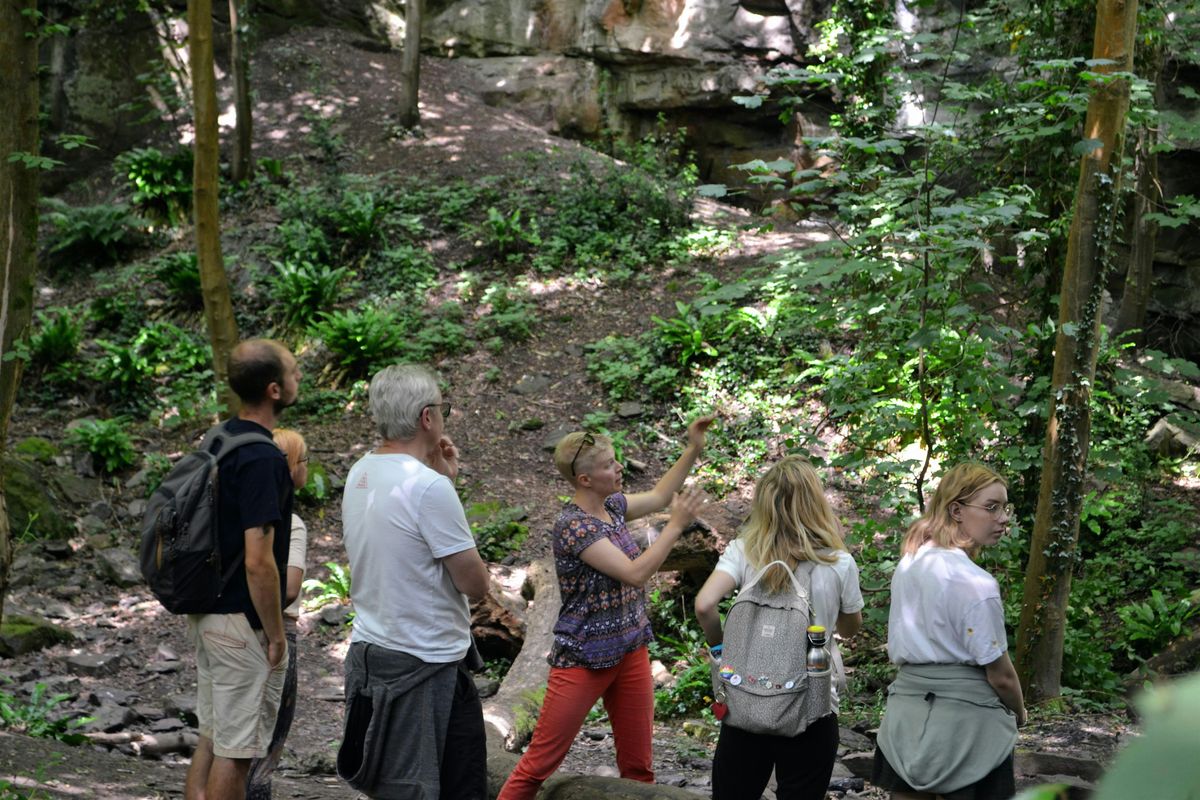 Rivers Old and New - Frome Valley mindful geology walk