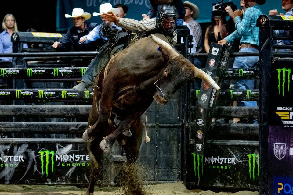 Marrabel Bullride 2023, Marrabel Rd, Marrabel SA 5413, Australia ...