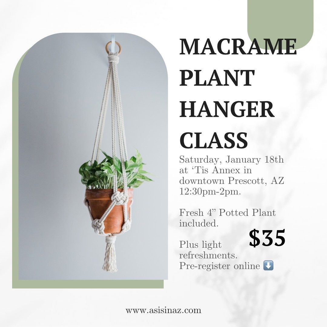 Art for Adults | Macrame Plant Hanger