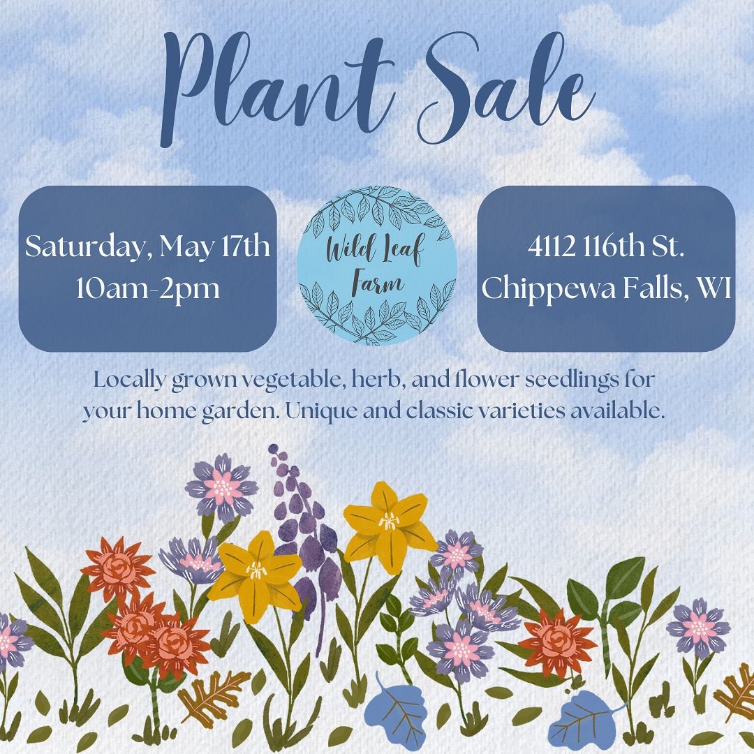 Garden Seedling Plant Sale