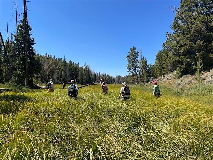 4-Day Camping: Hayden Fork, Western Uintas (ride with Zoo)