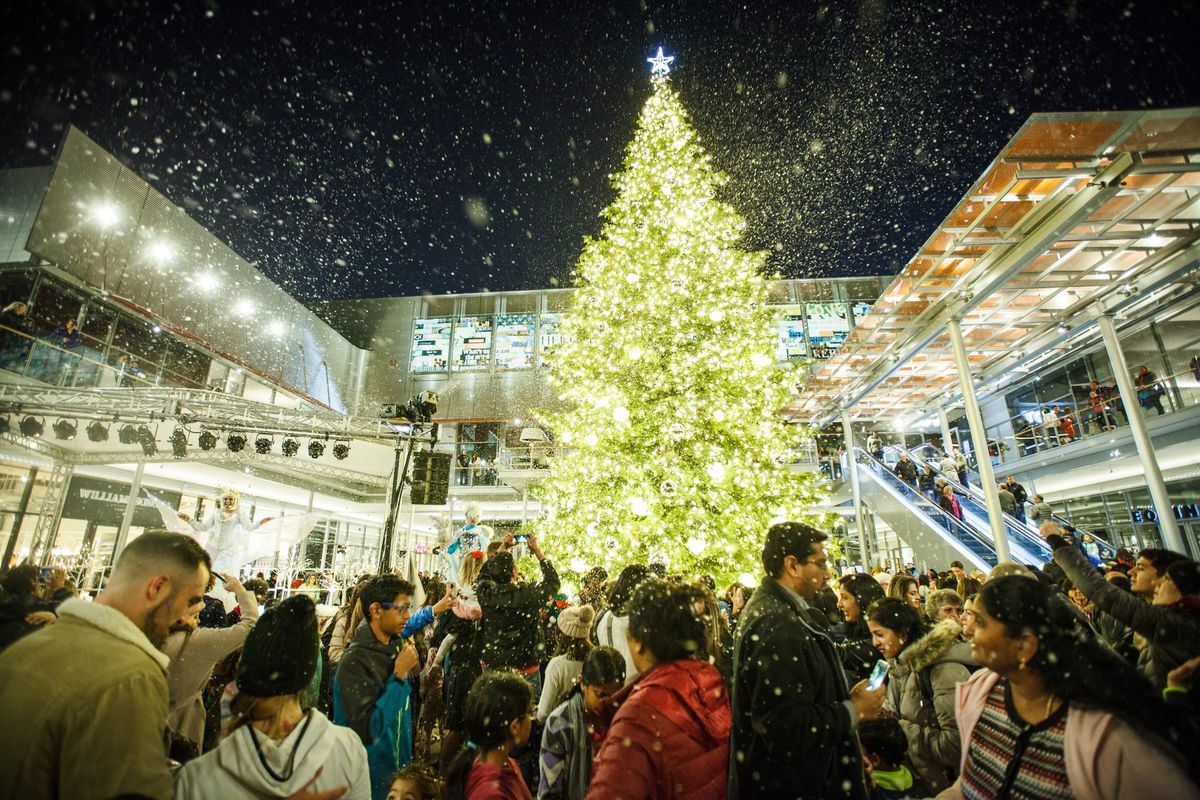 City Center Tree Lighting Ceremony