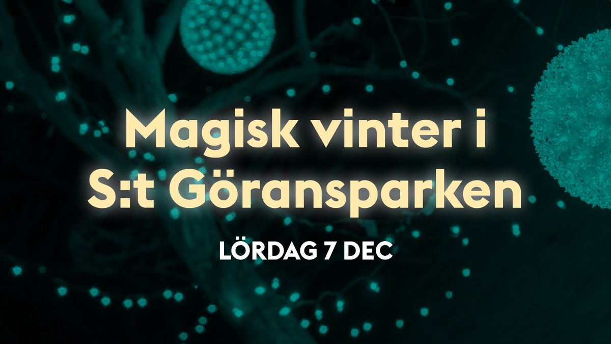 Magisk vinter i S:t G\u00f6ransparken! 