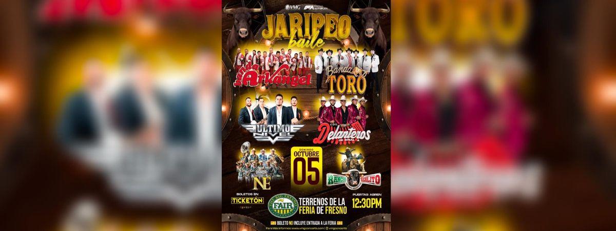 BANDA ARKANGEL R-15, BANDA TORO & MAS