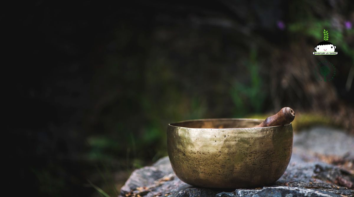 CONNESSIONE DI SENSI - Bagno di Foresta e Campane Tibetane