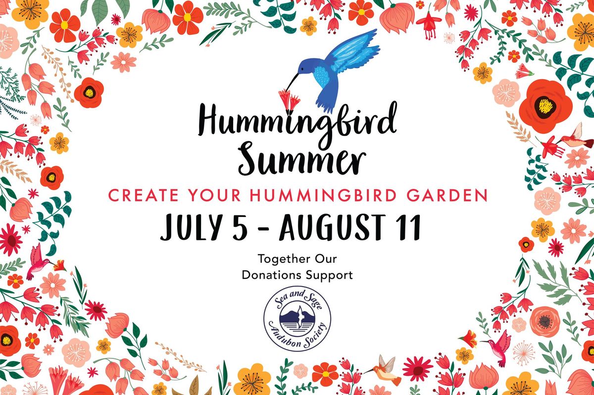 Experience A Hummingbird Summer