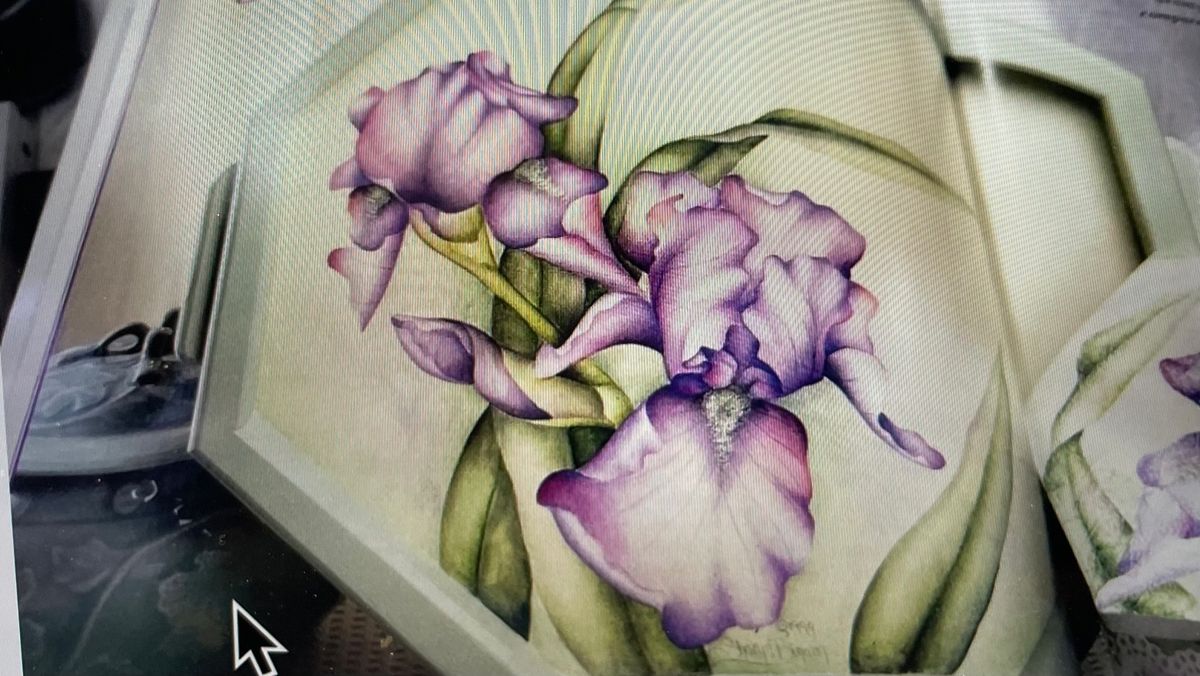 Iris Paint-in