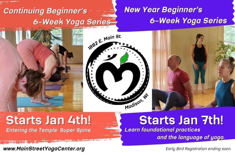 Our Beginner's Series Starts Again Soon!  LEARN YOGA IN THE NEW YEAR