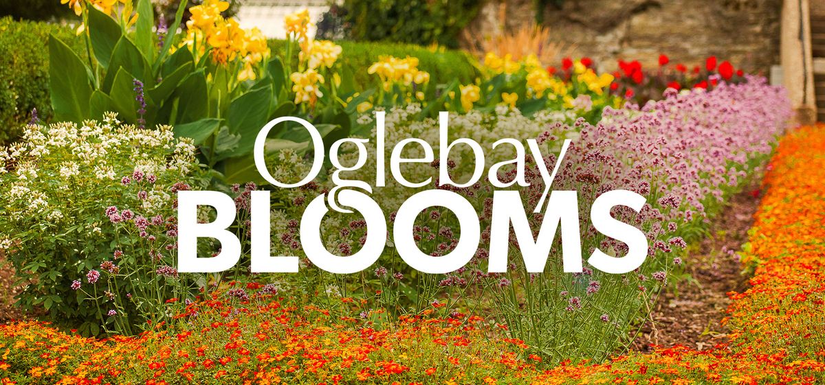 Oglebay Blooms