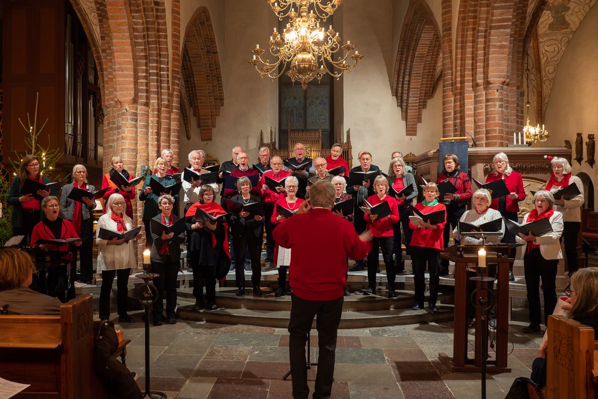 Jul-sing-along med Canzonetta