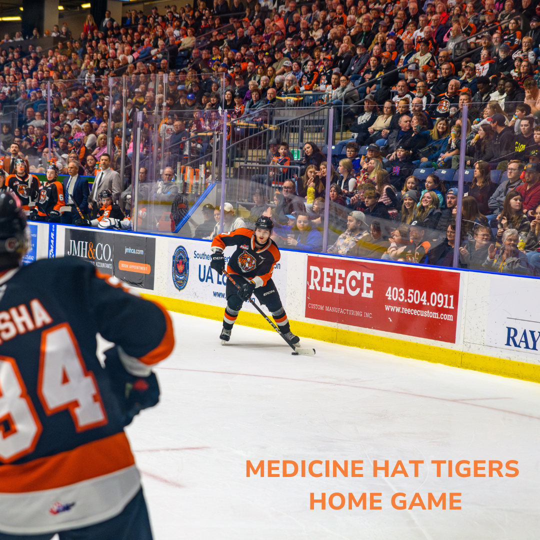 Prince Albert Raiders at Medicine Hat Tigers at Co-op Place