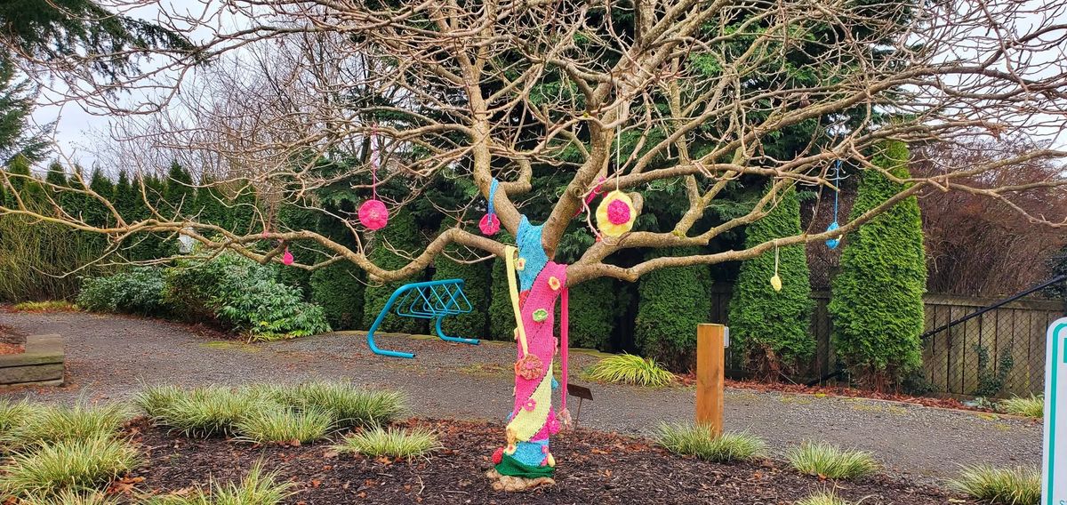 Color Storm - Yarn bombing in the Arboretum