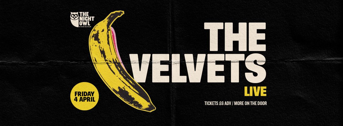 The Velvets LIVE (Tribute to The Velvet Underground)