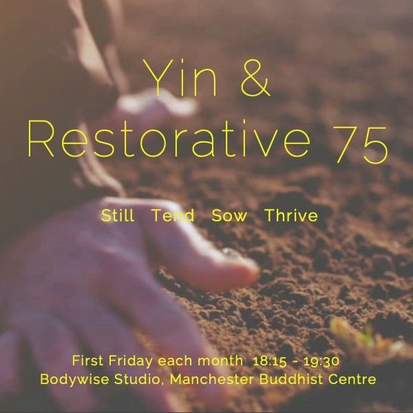 Yin & Restorative 75