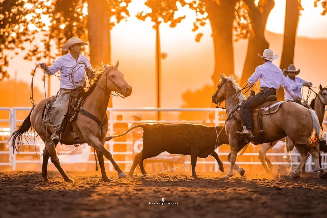 Ranch Rodeo