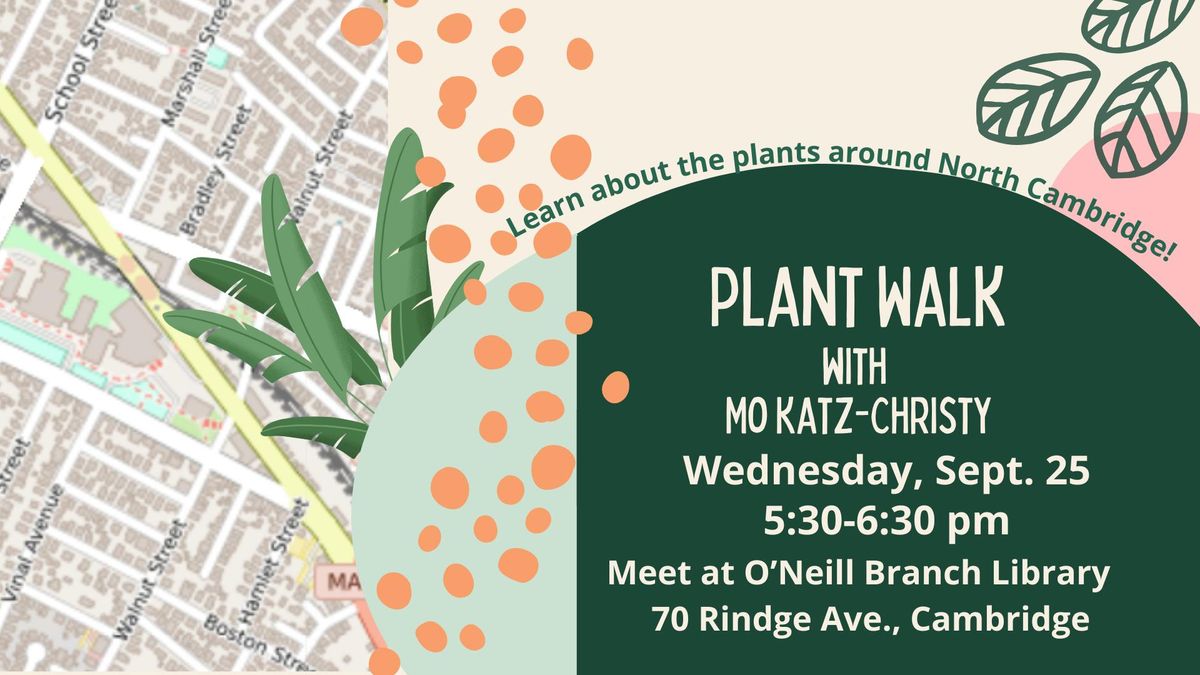 Plant Walk with Mo Katz-Christy: At Cambridge O'Neill Branch Library