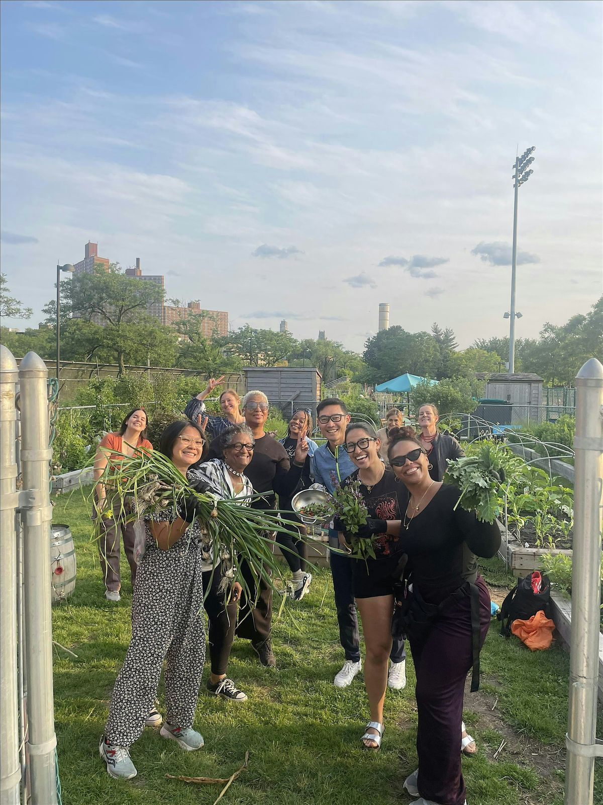 Urban Garden 101 Harvest Spring Crops