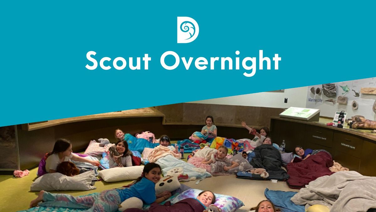 Scout Overnight 