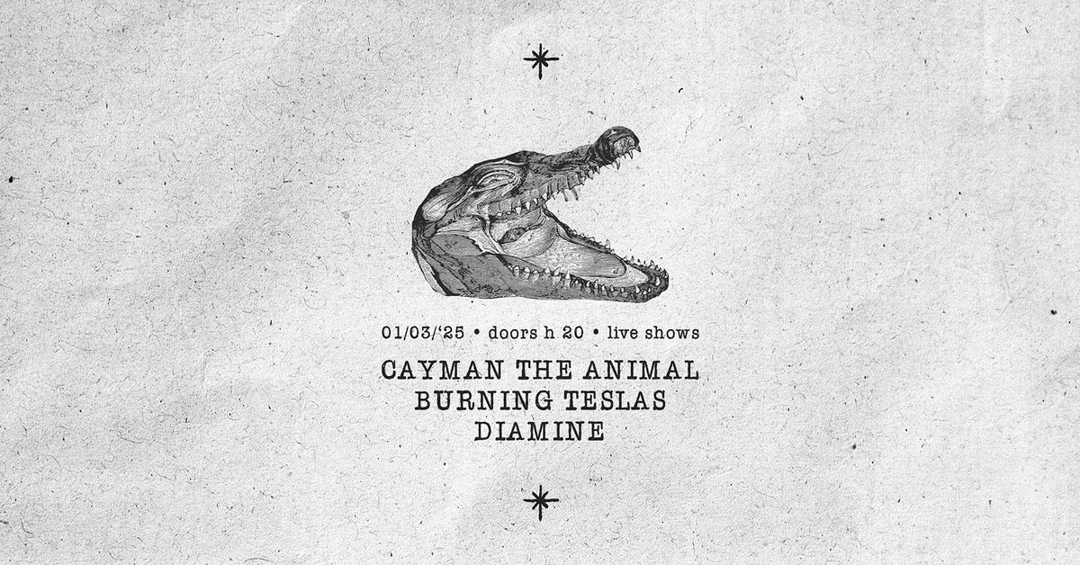 Cayman The Animal \u2022 Burning Teslas \u2022 Diamine | Live @ Circolo Hex