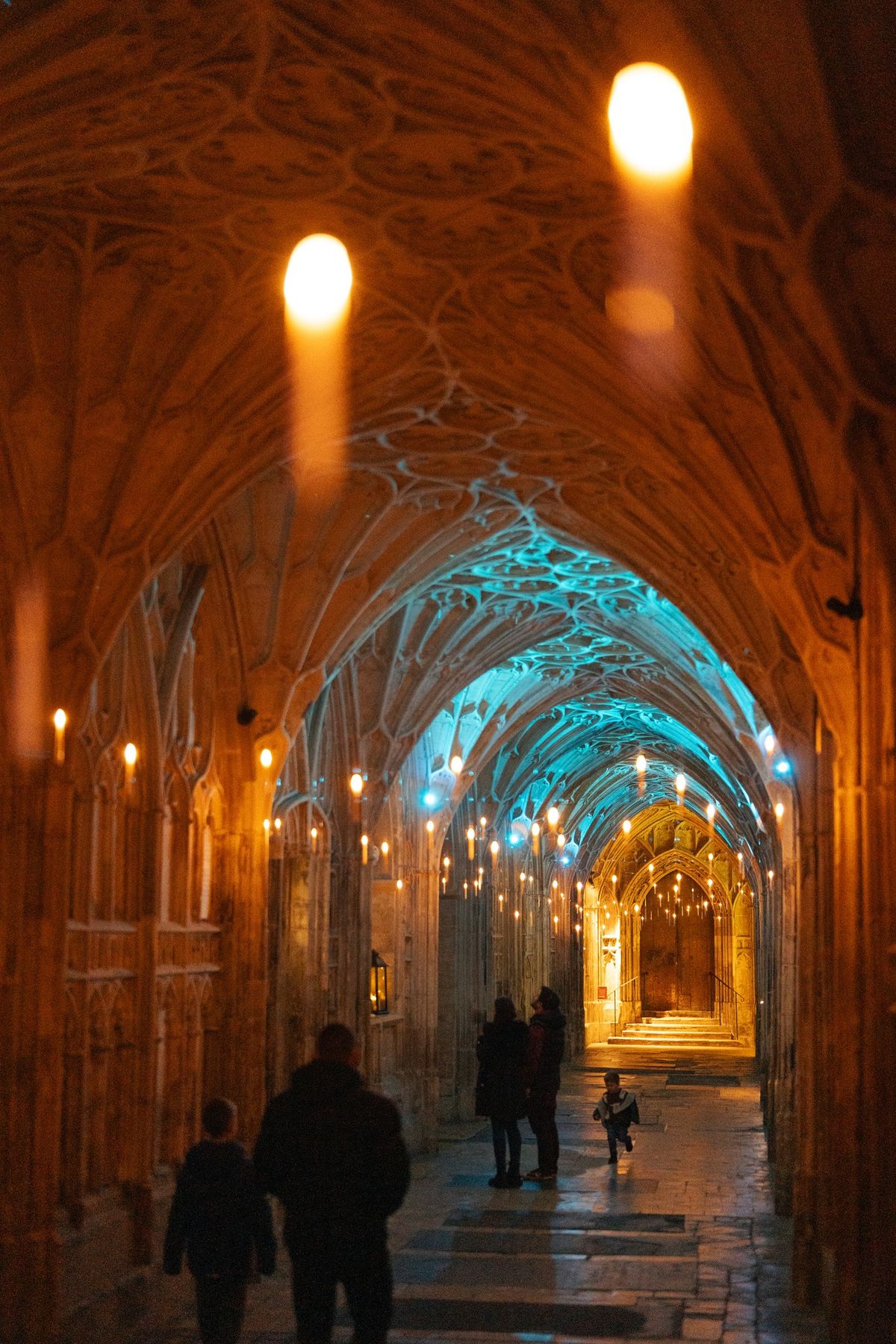 Cathedral Christmas Experience at Night