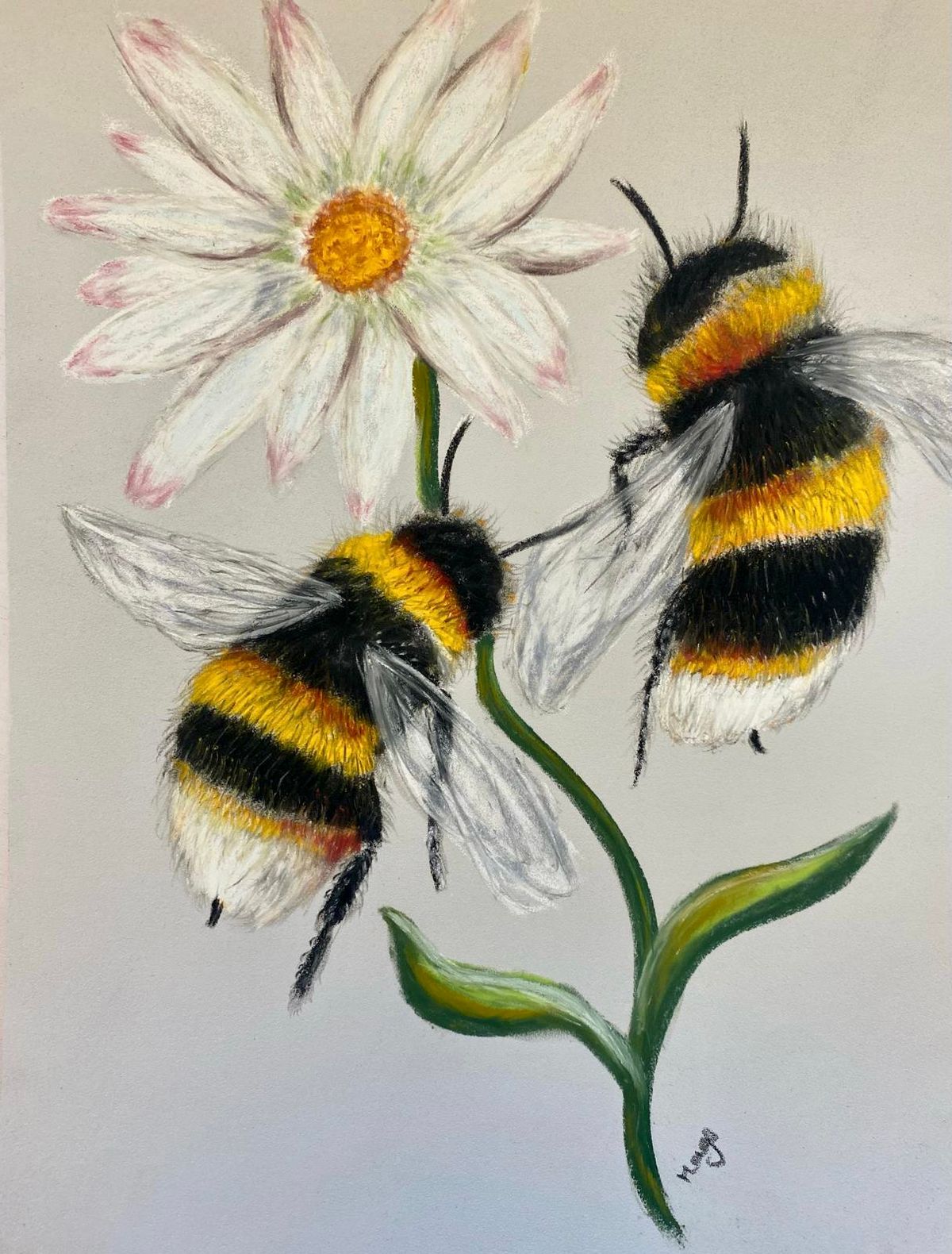 Beginner's Art Workshop - Bees