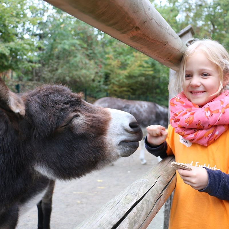 Ferien im Zoo