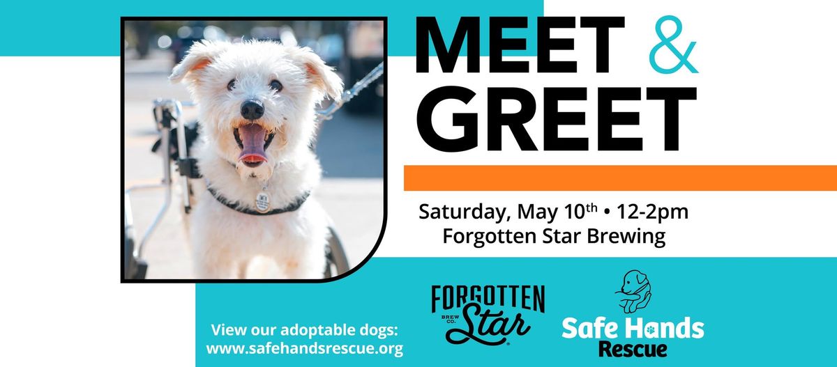 Safe Hands Rescue Meet & Greet at Forgotten Star Brewing