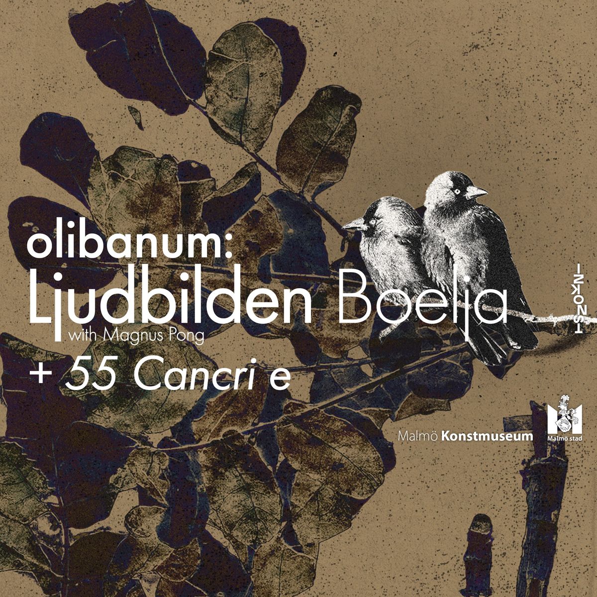 Olibanum: Ljudbilden Boelja + 55 Cancri e