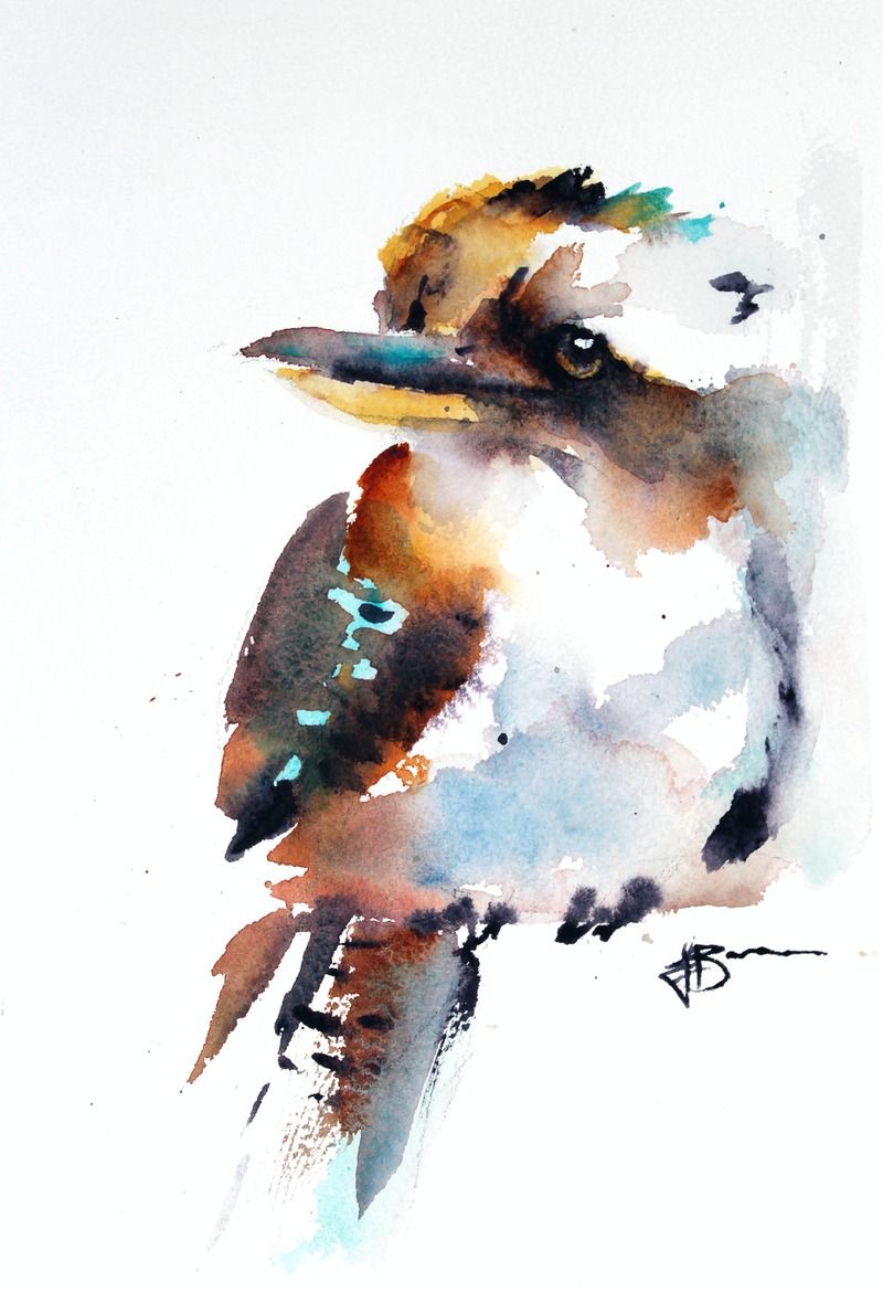Watercolour Kookaburra or Native animals